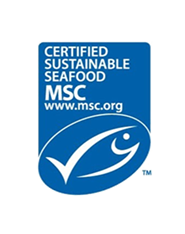 MSC logo pion