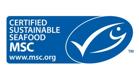 MSC logo bez tła